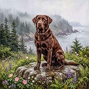lab-retriever-